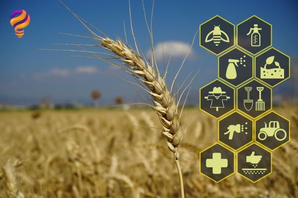 Agriculture & Environment