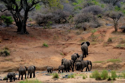 Mpumalanga