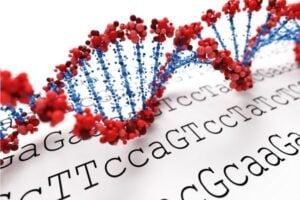DNA-2