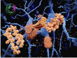 Tirzepatide-2